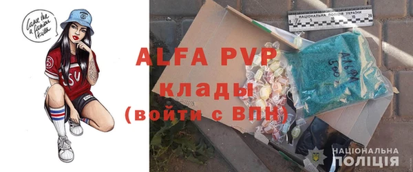амф Елизово
