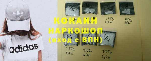 прущий лед Ельня