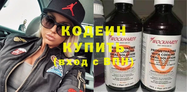 амф Елизово