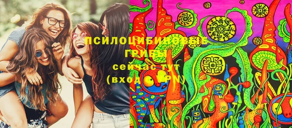 амф Елизово