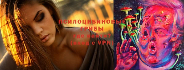 прущий лед Ельня