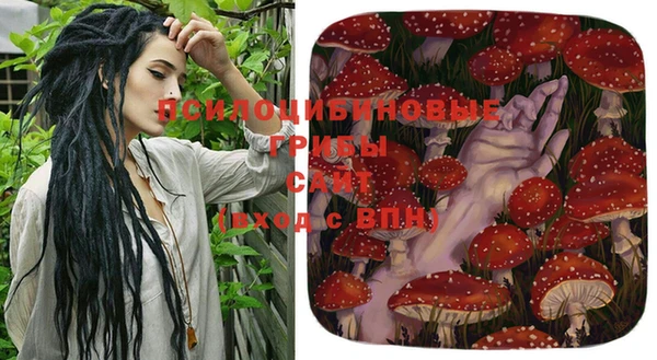 прущий лед Ельня
