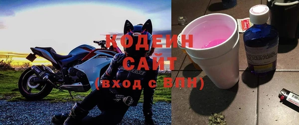 амф Елизово